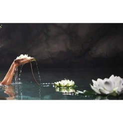 Outlet Therme Zen White Lotus Bodyserum