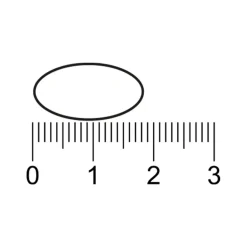 Hot Trekpleister Calcium Magnesium Zink Tabletten