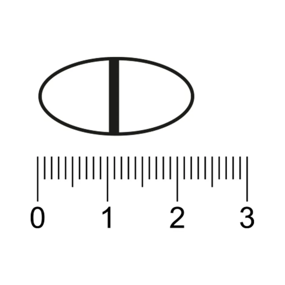 Clearance Trekpleister Glucosamine Chondroïtine MSM Tabletten