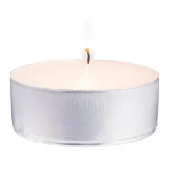 Best Trekpleister Maxi Theelichten