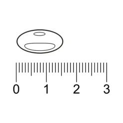 Online Trekpleister Q10 100 mg met Vitamine B1 Capsules