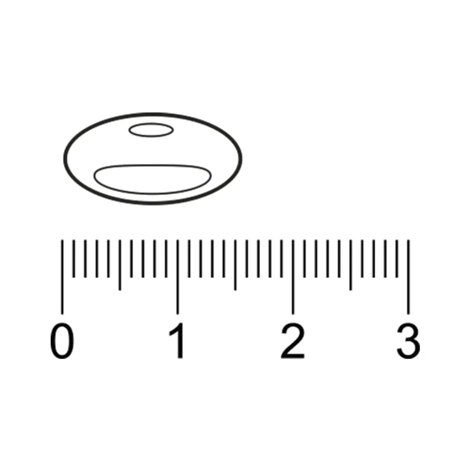 Online Trekpleister Q10 100 mg met Vitamine B1 Capsules