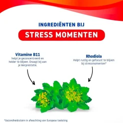Sale Valdispert Stress Gummies