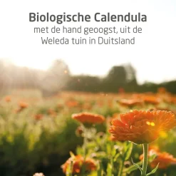 Outlet Weleda Calendula Weer en Windbalsem