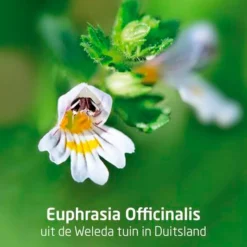 Best Weleda Ogentroost Oogdruppels